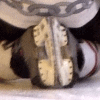 Apparently getting hit in the face...